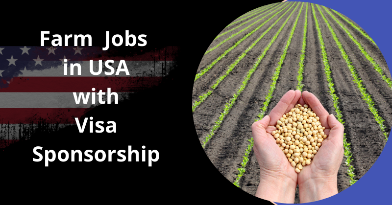 Farm Jobs in USA With Free Visa Sponsorship